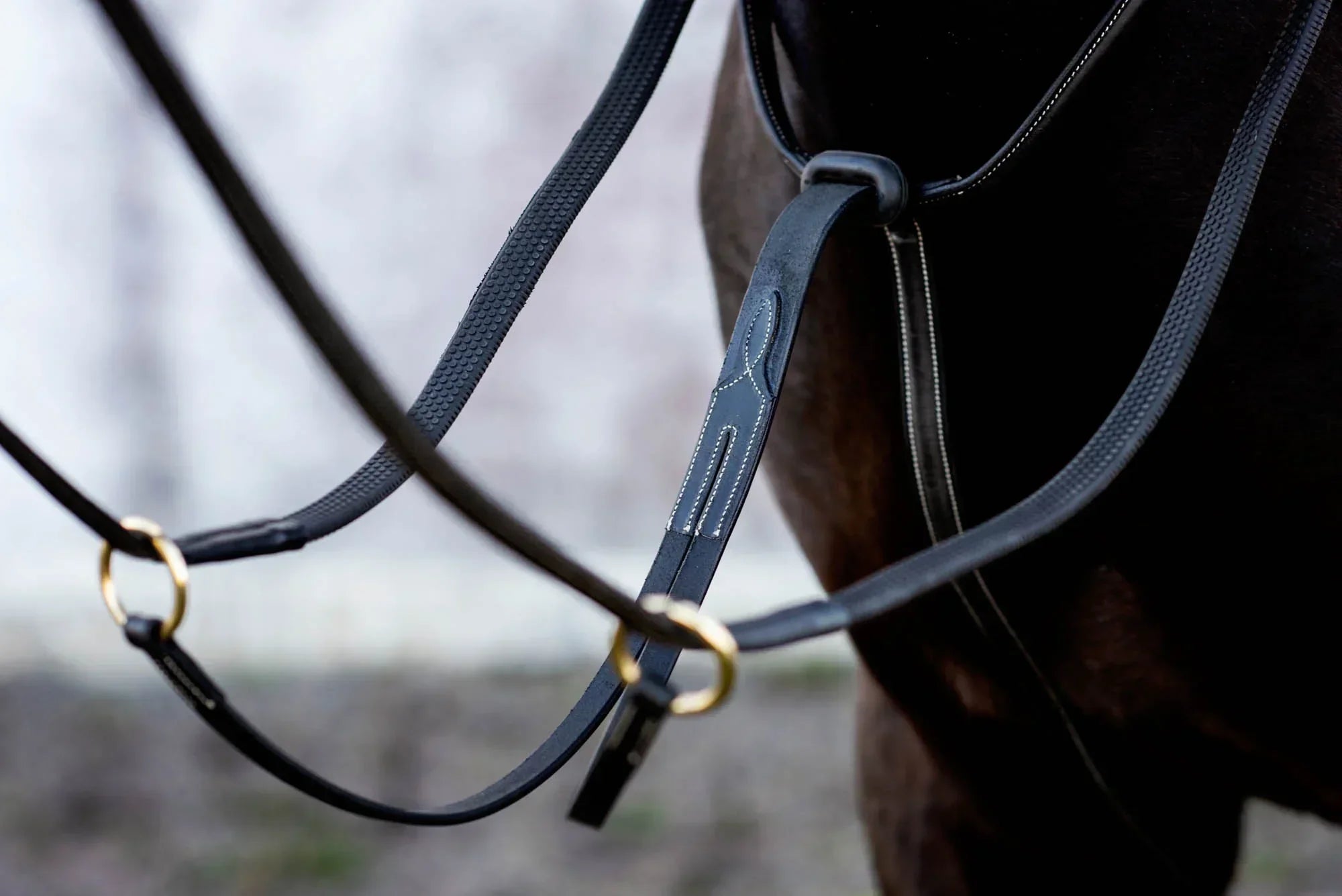 Jacson Cincinatti Martingal Svart