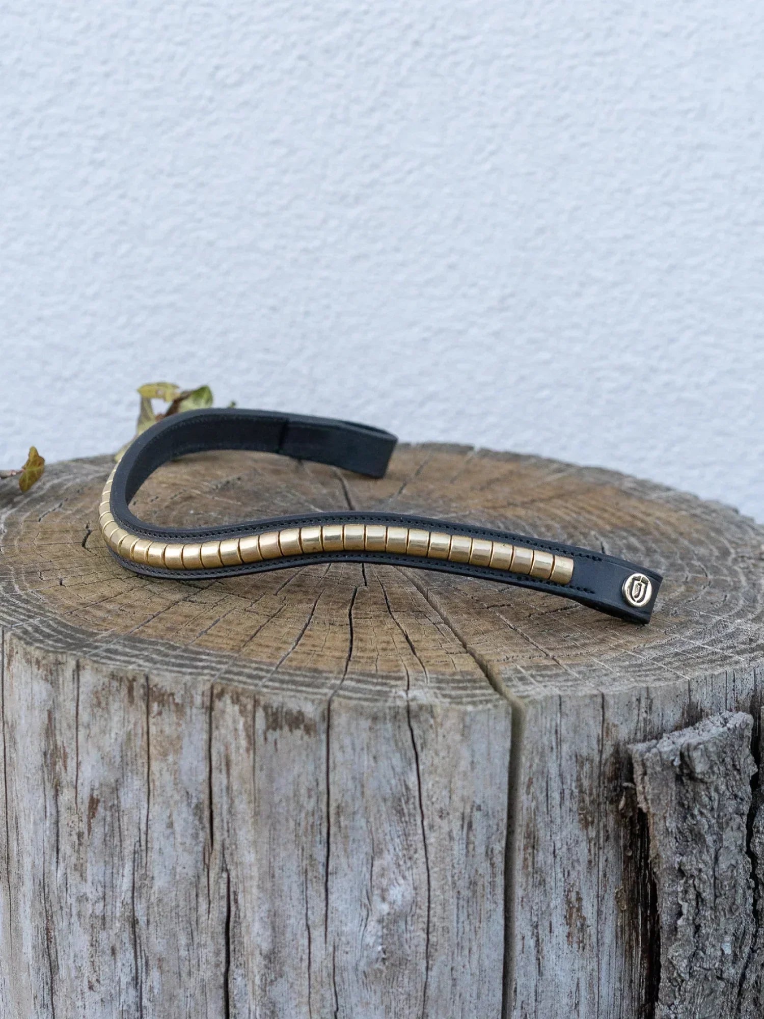 Jacson Cambridge Pannband Svart