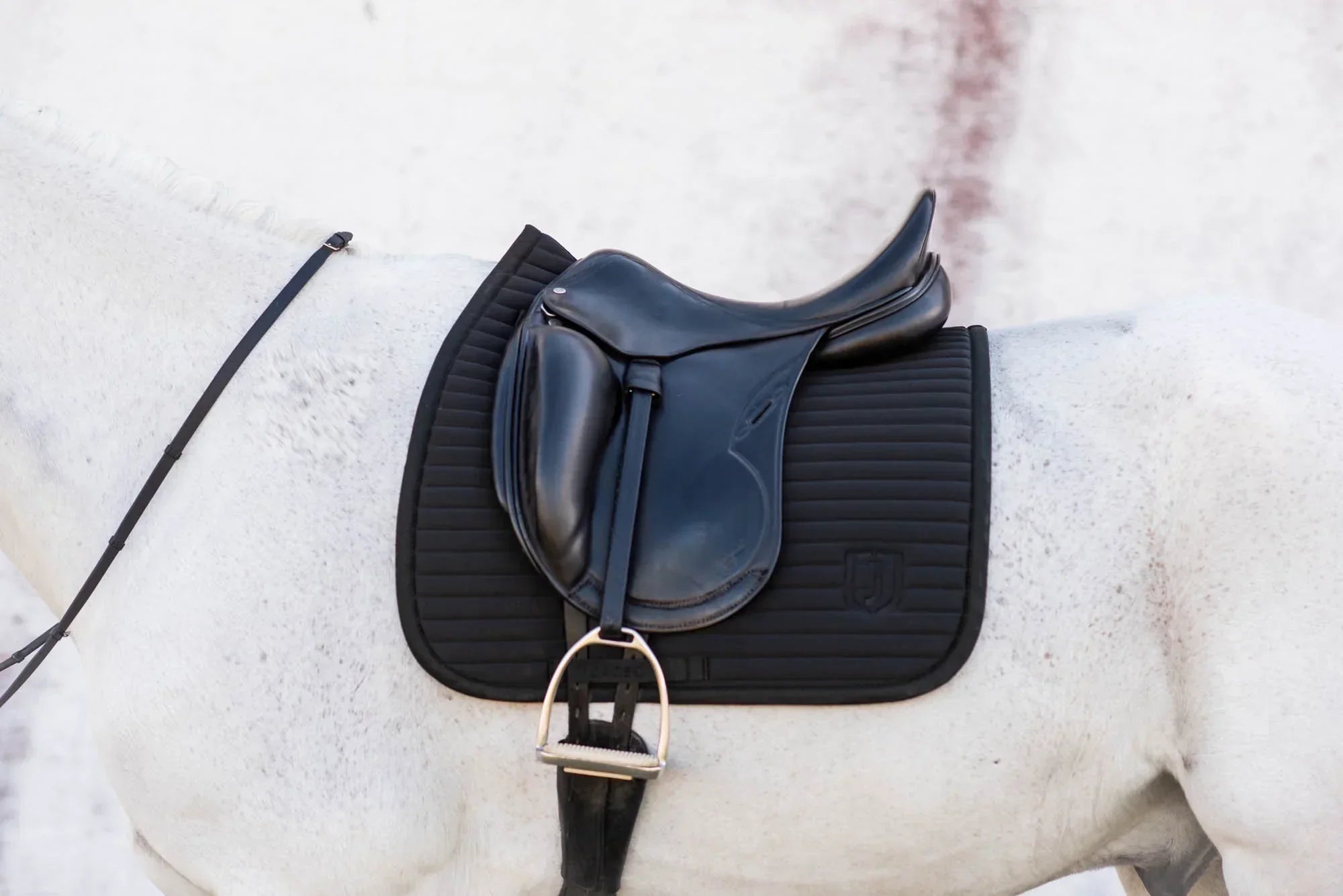 Jacson Karlskrona Dressyrschabrak Svart