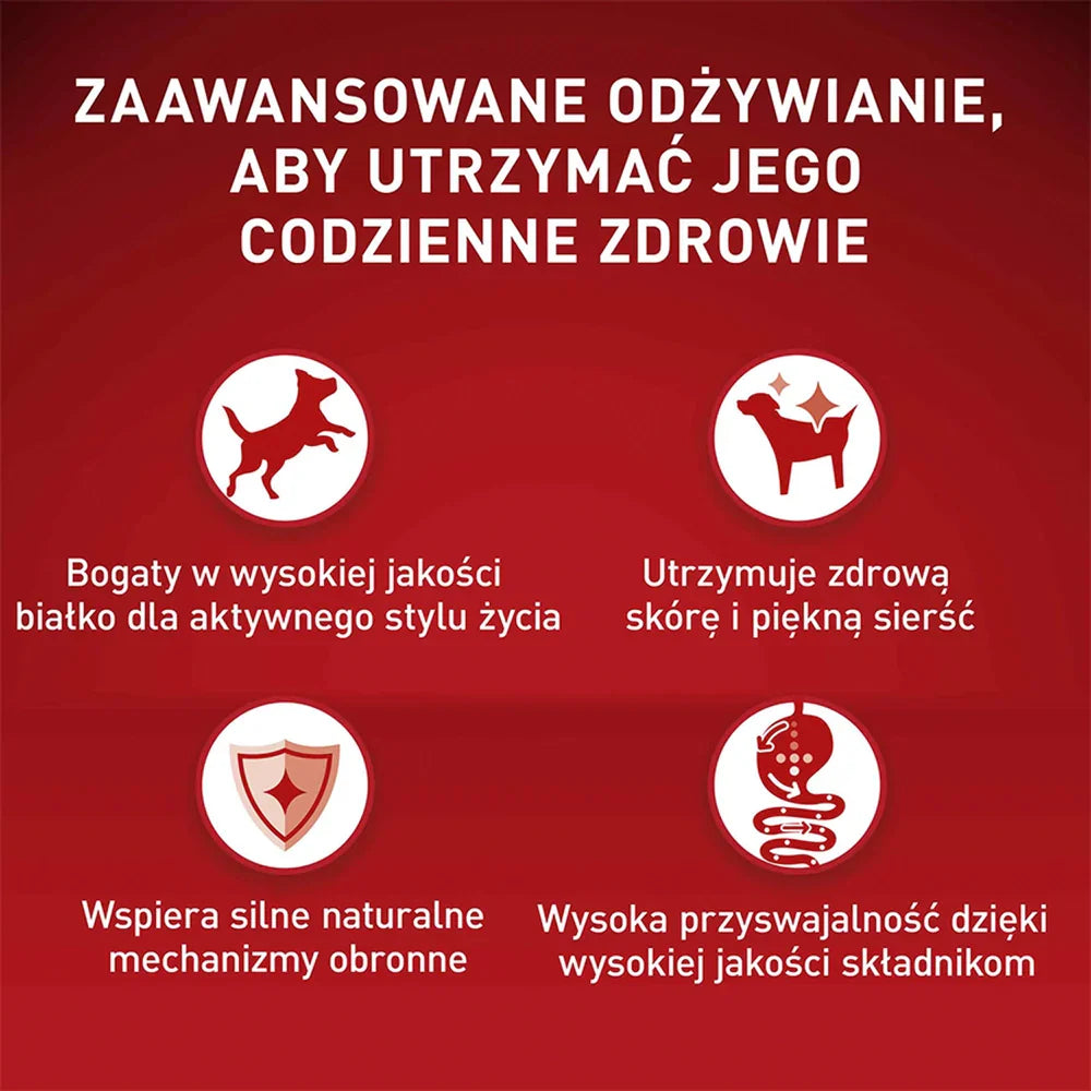 PURINA ONE Mini Adult Nötkött & ris 800g