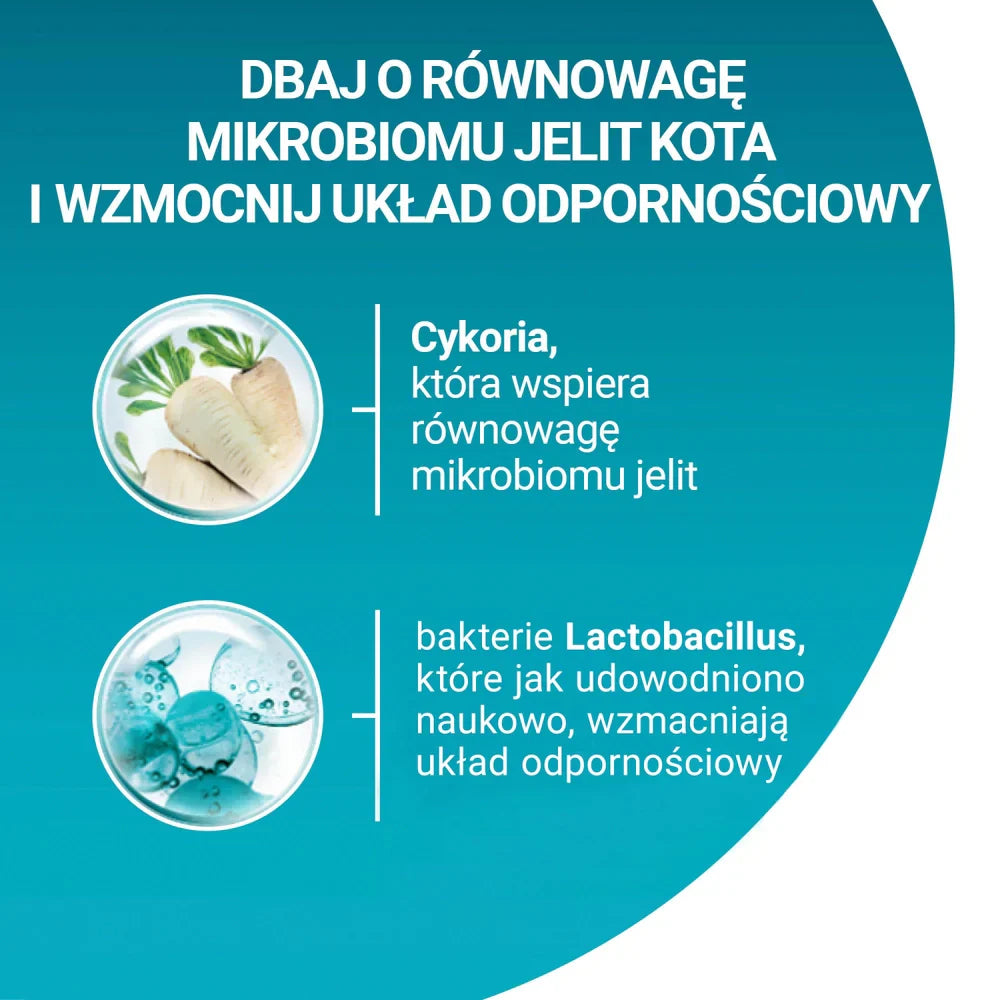 PURINA ONE Adult Lax & fullkorn 9,75kg